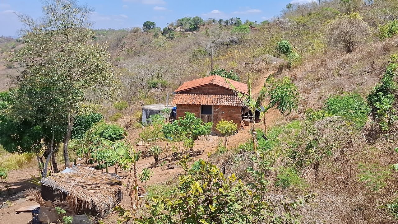Um almoço muito simples na minha casinha simples no sertão #diaadia 