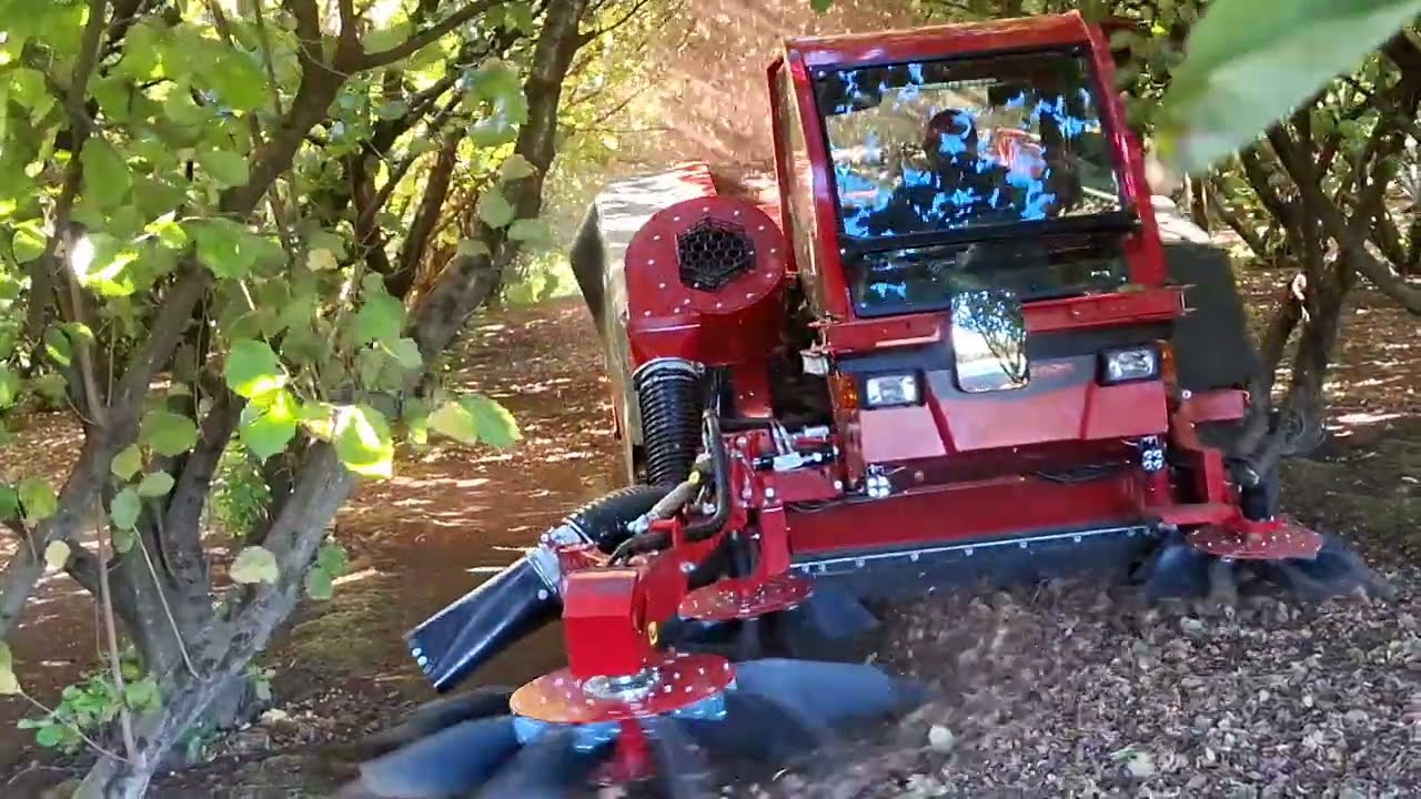 Recolectora de avellanas X16 en Chile | 1 hectárea por hora