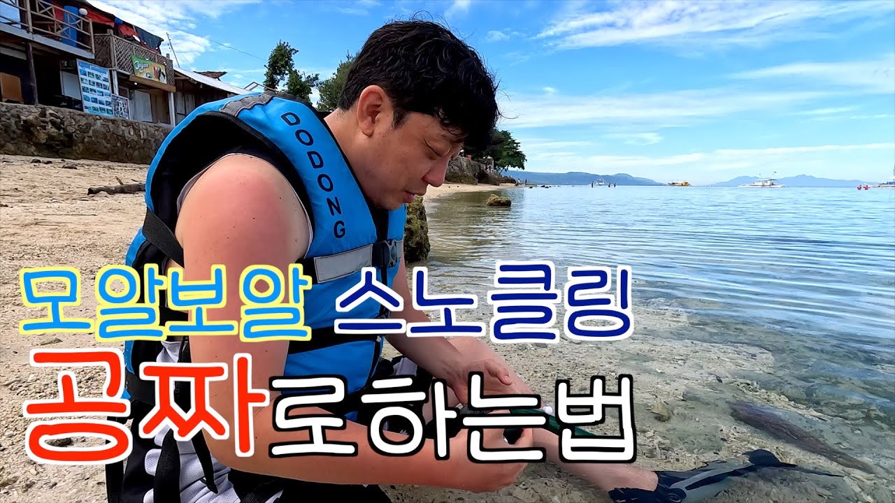 세부여행 가장인기있는 스노클링 모알보알 거북이 정어리때 | EP 8