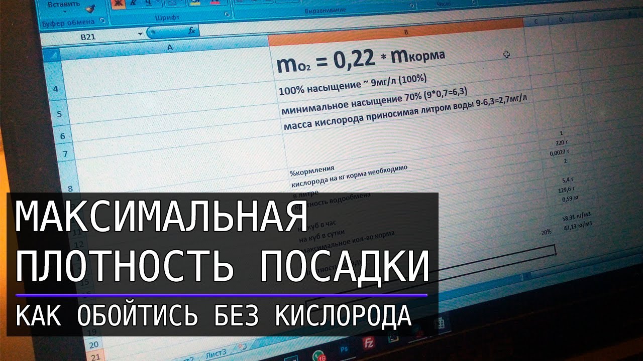 Плотность посадки осетра в УЗВ без оксигенации