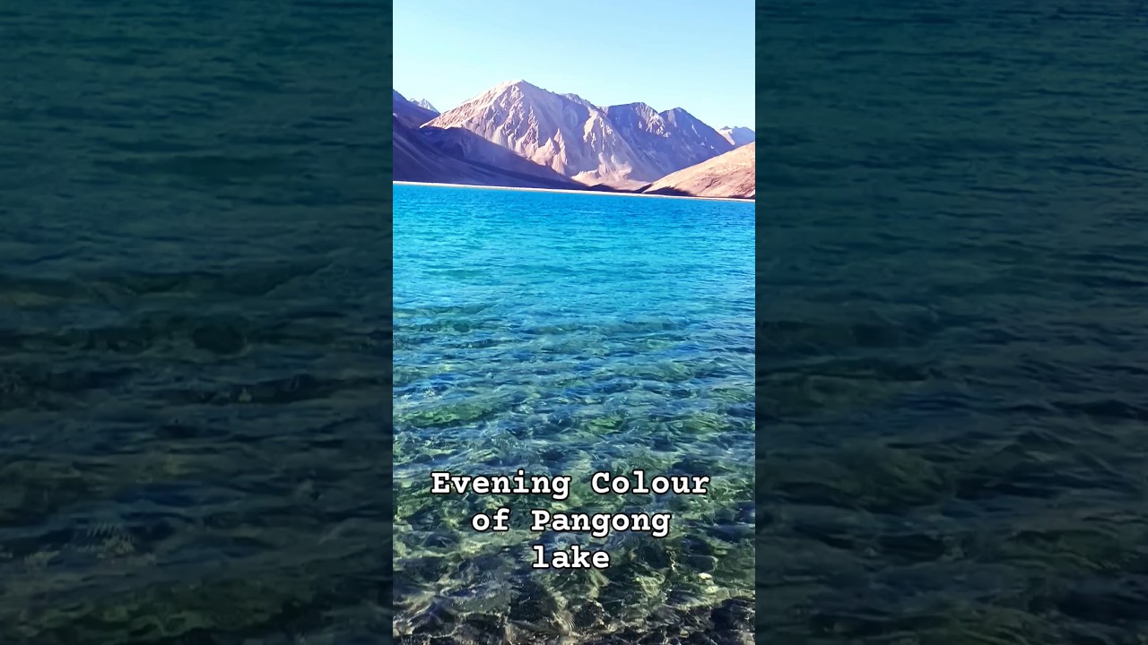 Pangong Lake| Colour changing lake🤯 #ladakh #viral #shortsvideo #trending #pangongtsolake