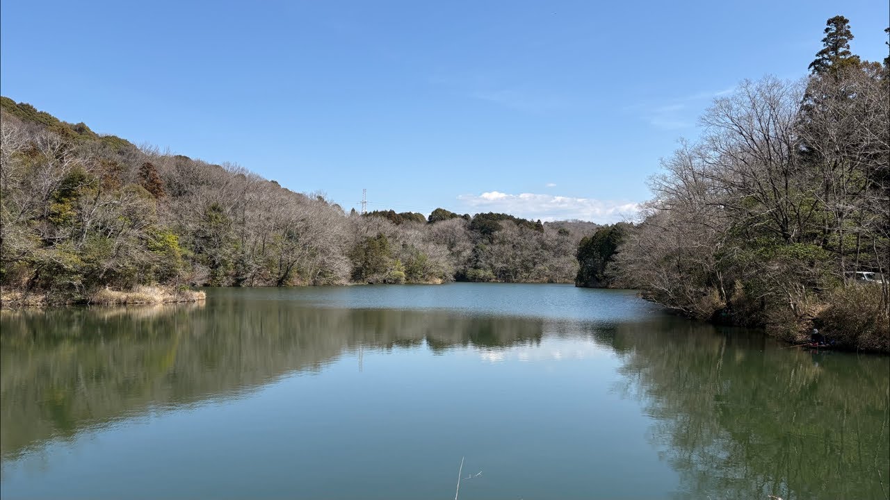 LIVE Relaxing Pond in Japan 🇯🇵 | Calm Nature Sounds