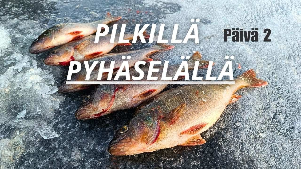 AHVENPILKILLÄ ITÄ-SUOMESSA 2/3