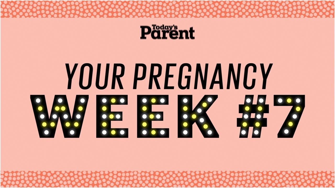 Your pregnancy: 7 weeks