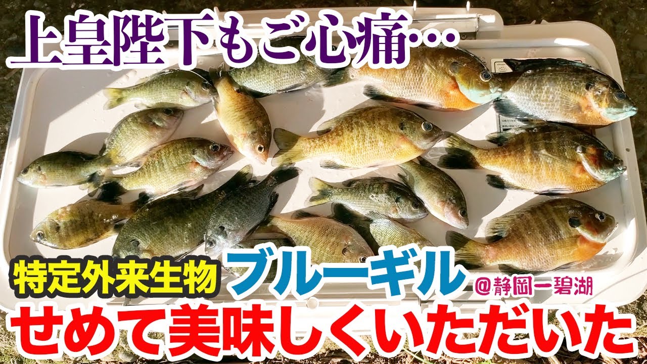 上皇陛下もご心痛…特定外来生物をせめて美味しくいただいた