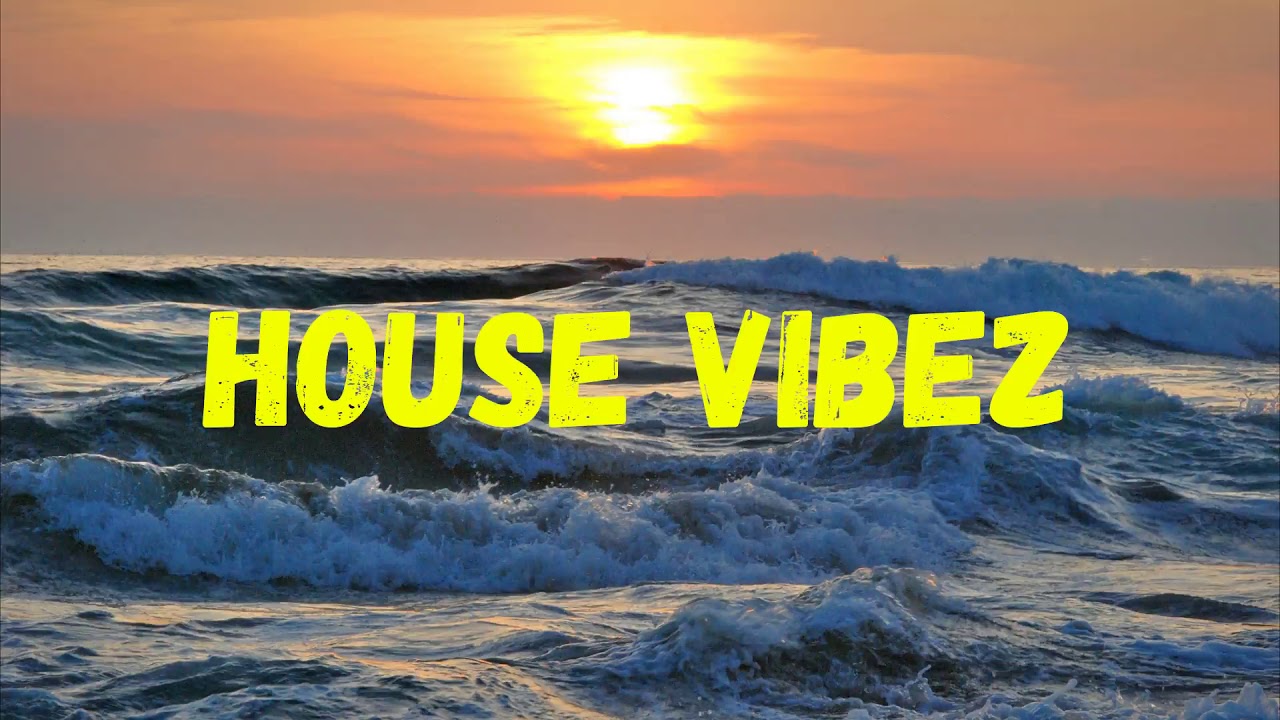 House Vibez | No Copyright Music