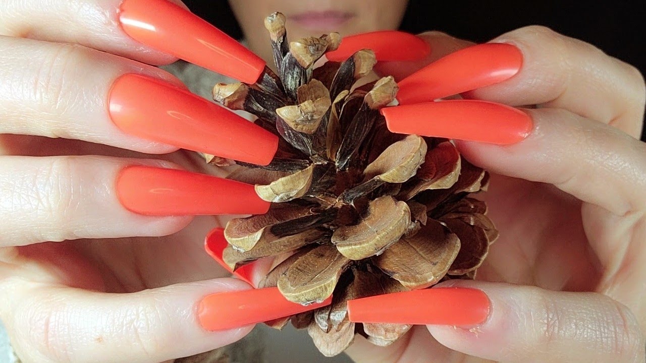 ASMR Fast Pinecone Scratching | No Talking | Long Nails