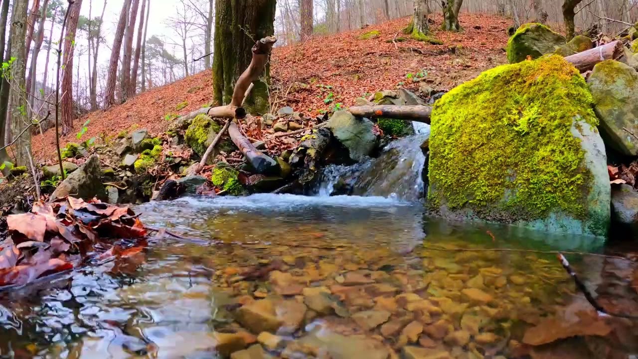 One hour of  Water flow for #relaxation  *no ads