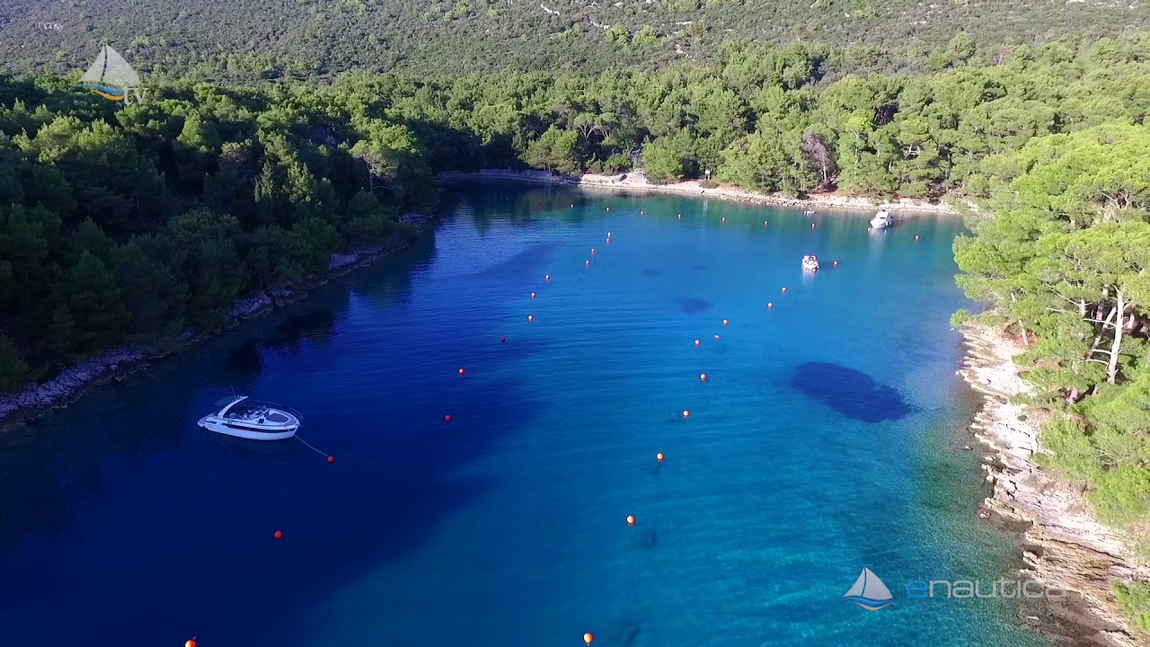 Zaliv Krivica, Lo&scaron;inj