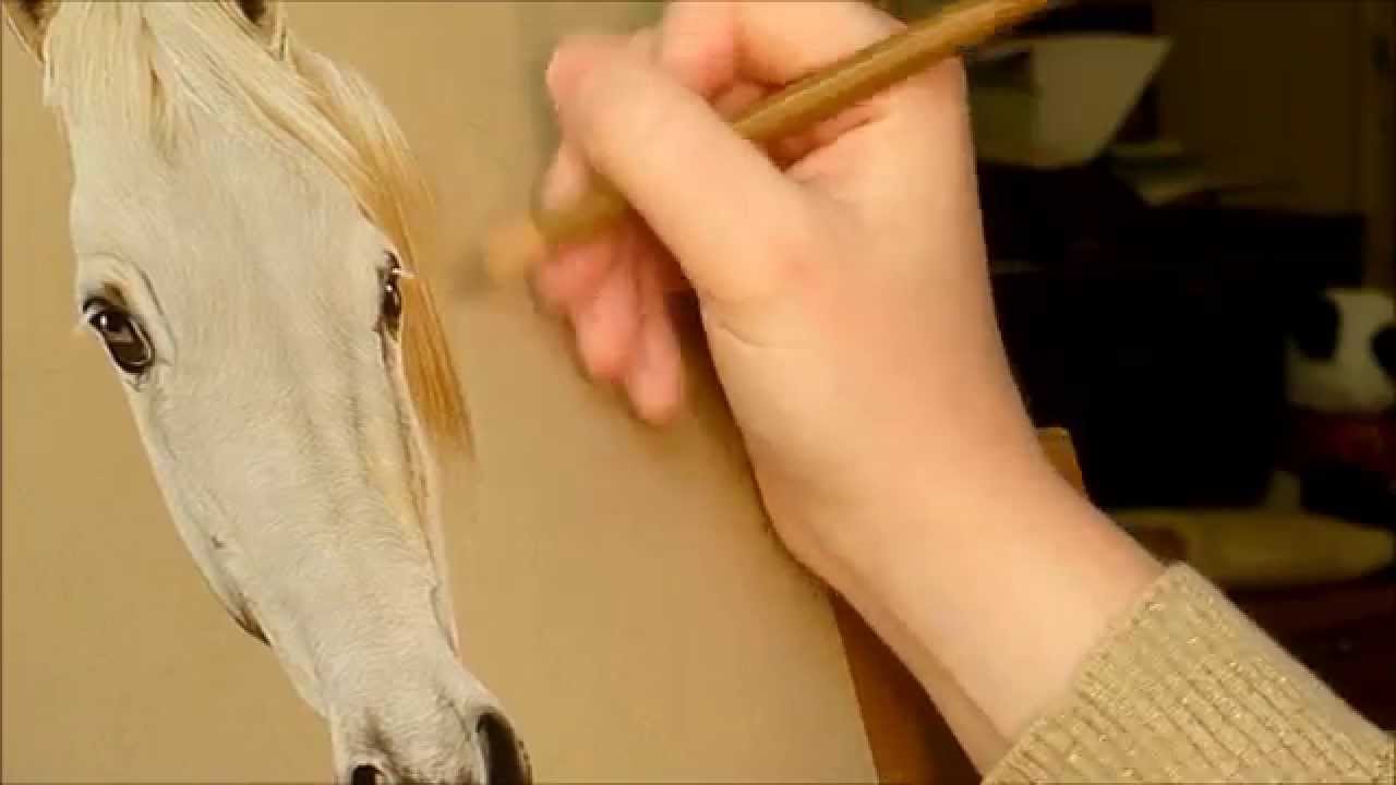 Step by Step: a horse portrait from start to finish