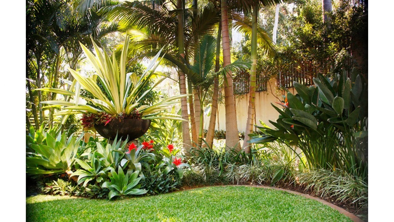 Pequeñas ideas de jardín tropical
