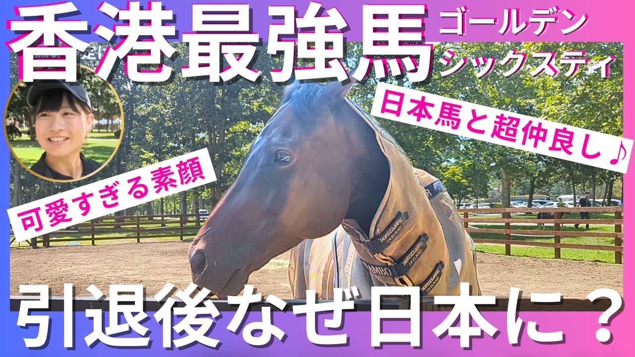 【引退後に香港→北海道移住の世界的名馬】ゴールデンシックスティの現在…日本馬と仲良く暮らす姿に癒される！
