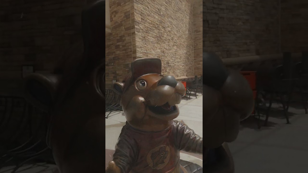 might as well make the beaver a coat rack too 😅😂 