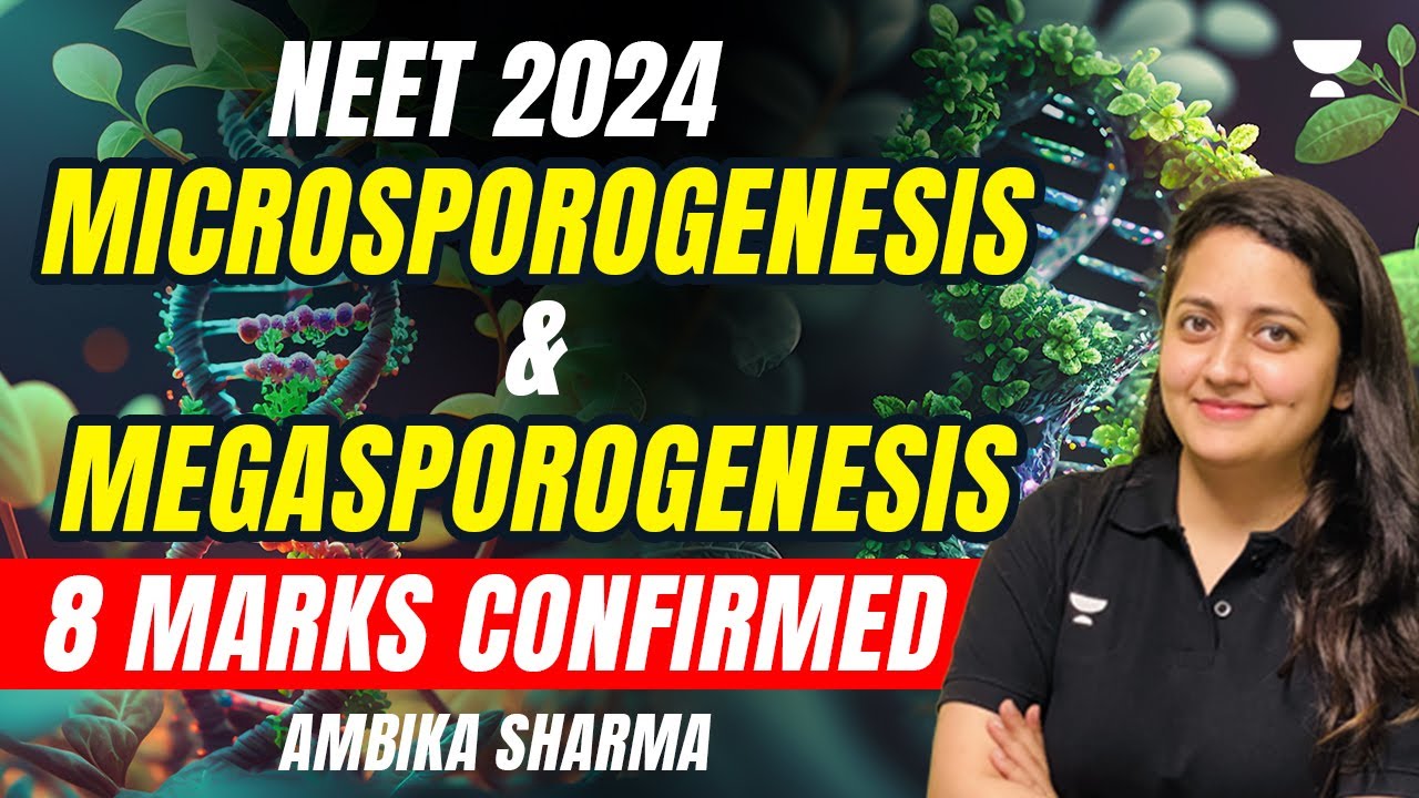 MICROSPOROGENESIS & MEGASPOROGENESIS | 8 MARKS CONFIRMED | NEET 2024 | AMBIKA