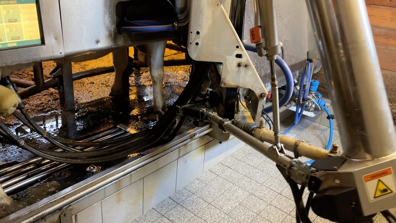 Köp Mjölkrobot DeLaval vänster maskin på Klaravik