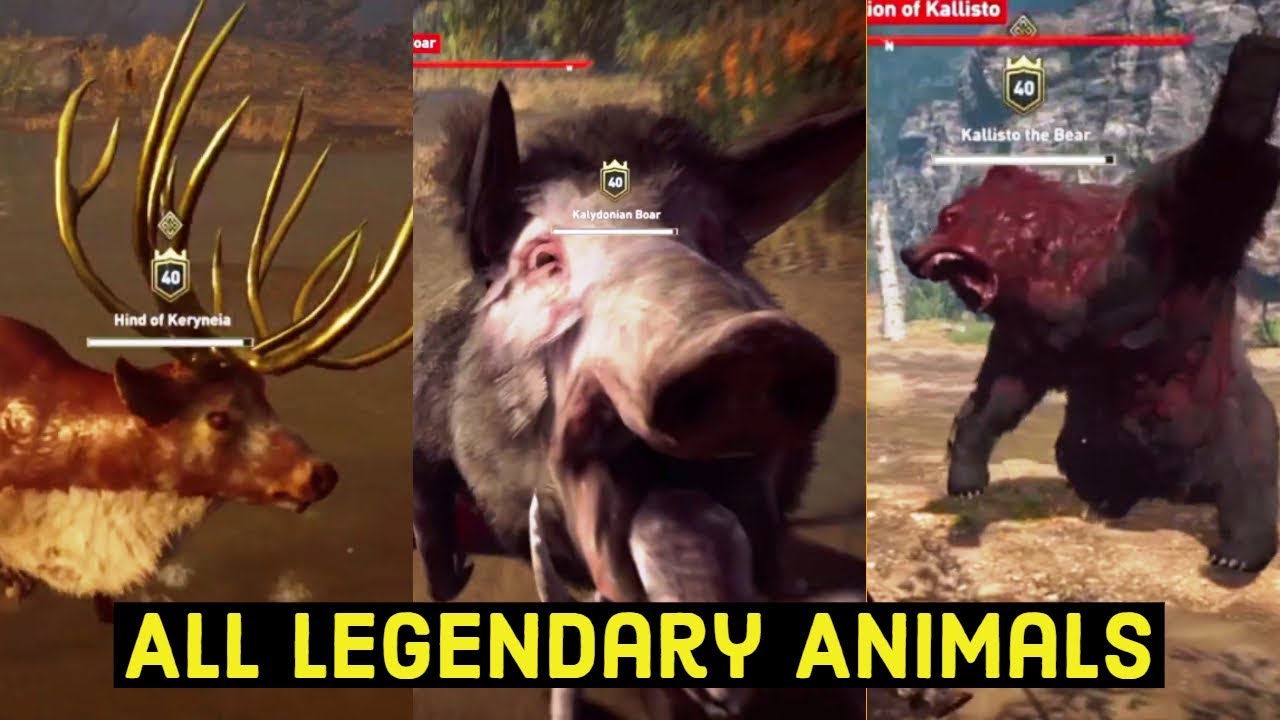 Assassin's Creed Odyssey Walkthrough Gameplay |  Kill All Legendary Animals