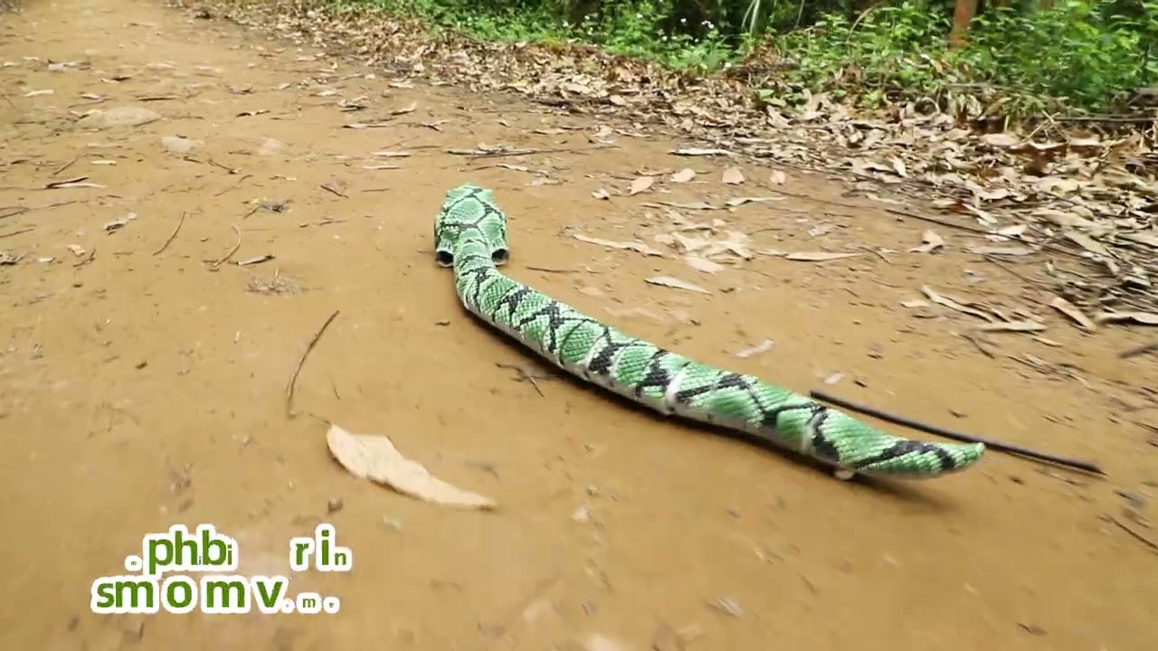 rc toys