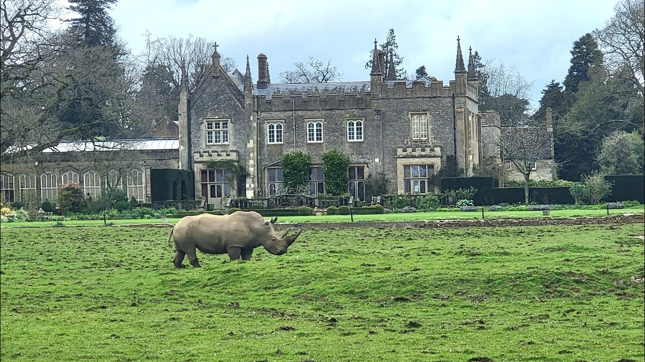Pet shop & Zoos in England 🇬🇧.