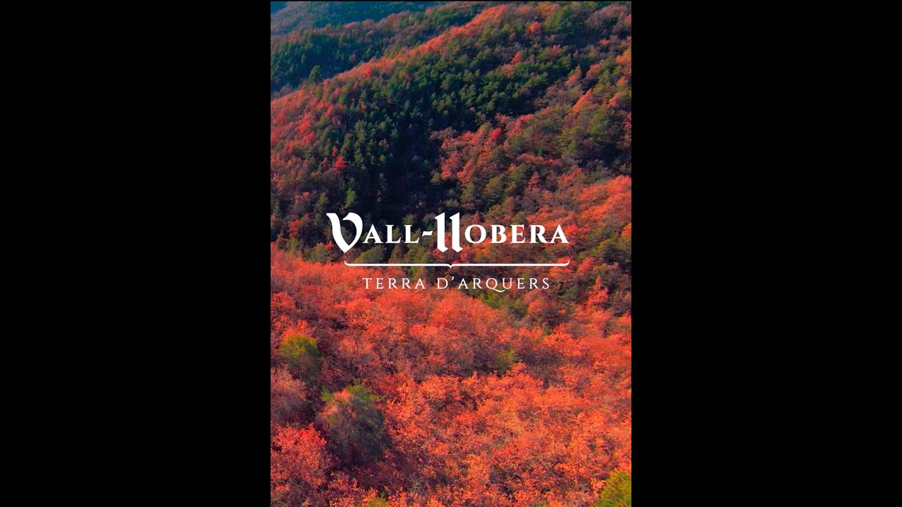 Vall-llobera des de l'aire REMASTER 2024 drone 4k