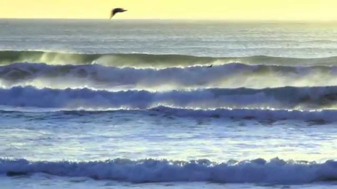 Juleah - Neverending Swell