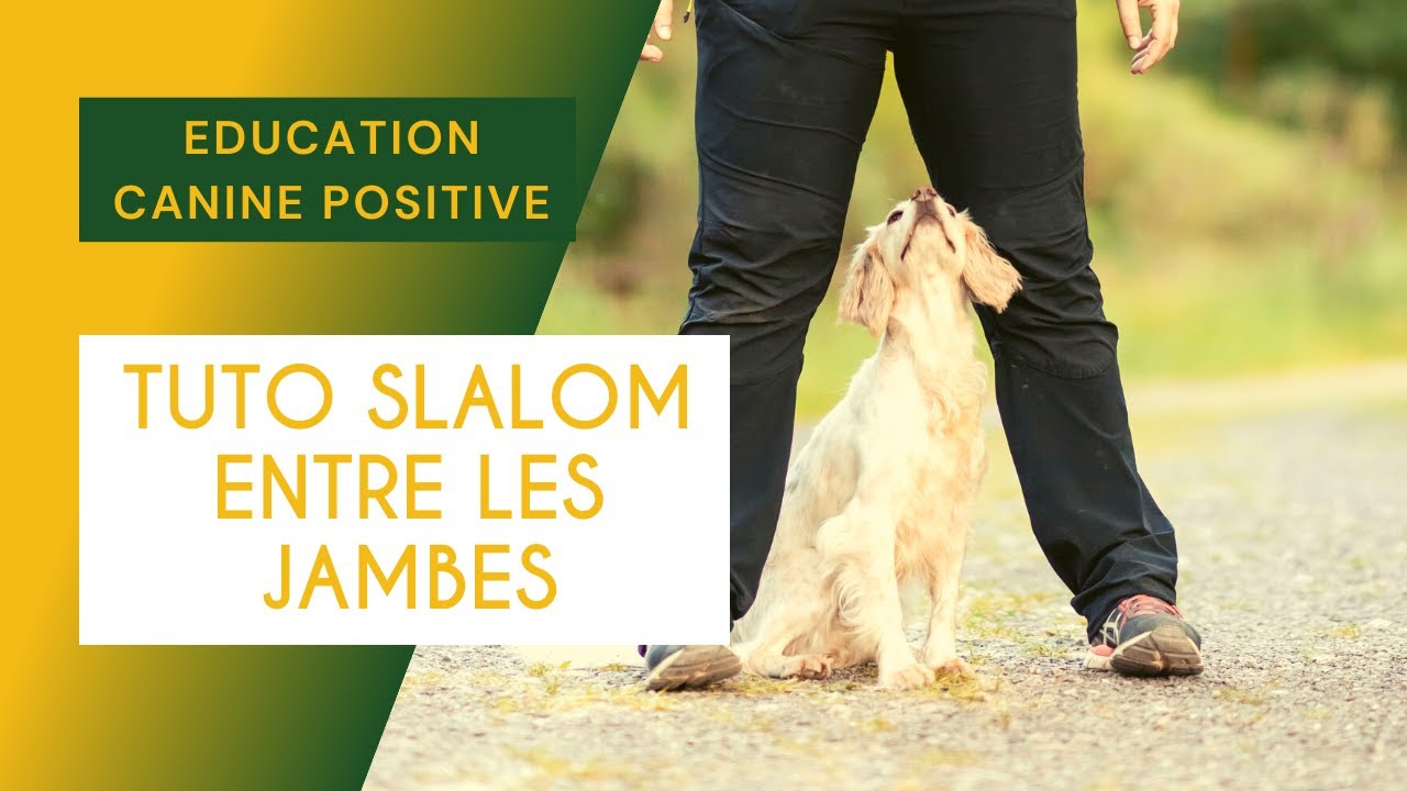 #10 ECP : TUTO TRICKS Slalom entre les jambes !