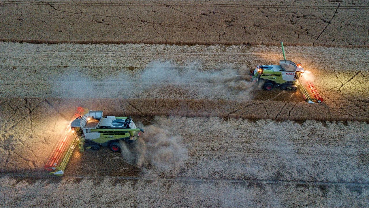 2x Claas Lexion 780 TT  Žně 2023 - Rhea Holding