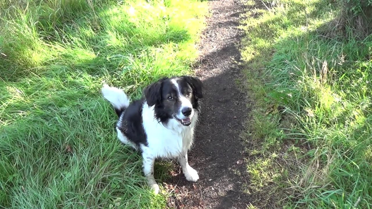 Newbigging walk, Methven, Perthshire.