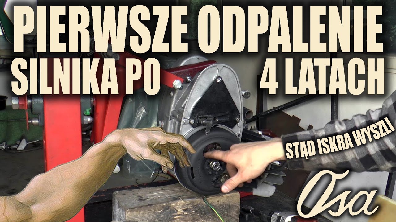 PIERWSZE ODPALENIE PO 4 LATACH - WFM Osa 🐝#4