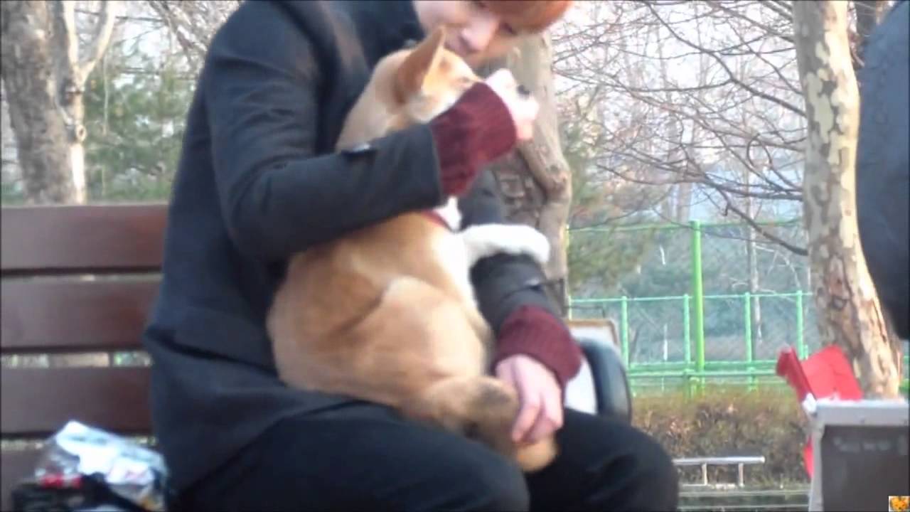 [120117]INFINITE's Sunggyu & the dog