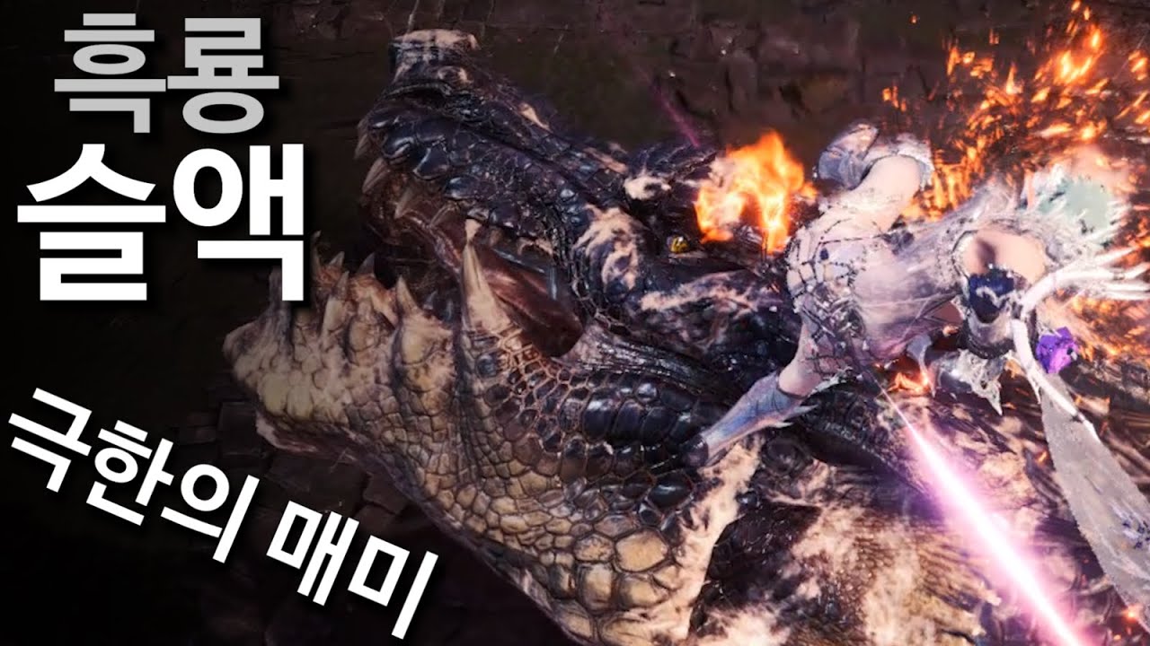 용잡는 매미! 영거리로 머리 터뜨리자 💥 밀라보(흑룡) 슬액 세팅과 실전