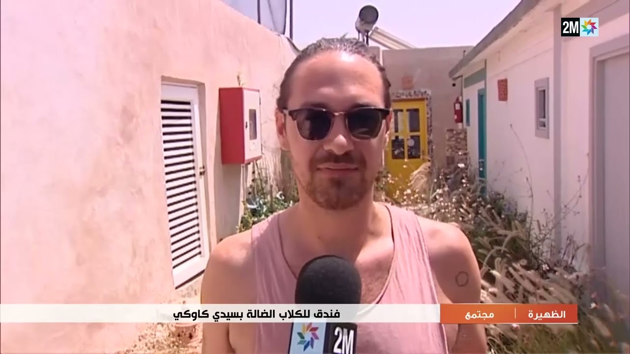 مداخيل فندق تمنح للكلاب الضالة بسيدي كاوكي