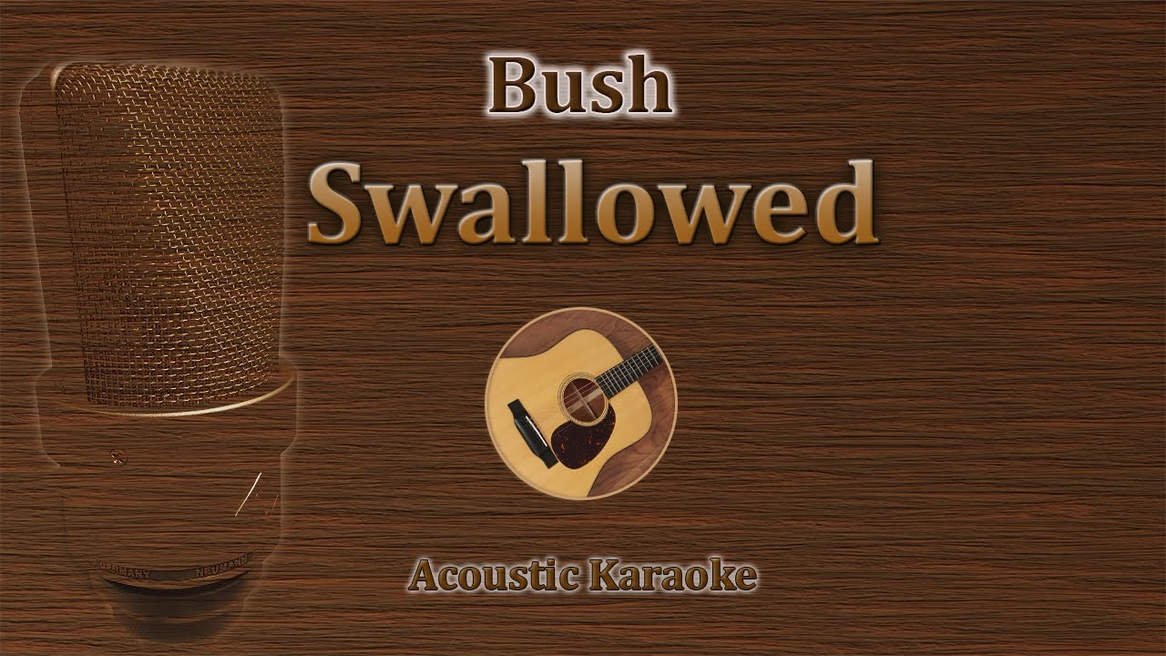 Swallowed - Bush (Acoustic Karaoke)
