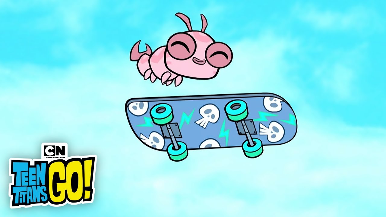 Searching for Silkie | Teen Titans GO! | Cartoon Network