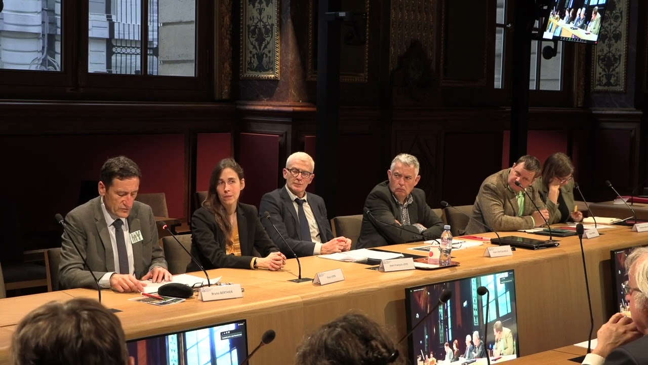 « La propriété collective foncière en mutation », B. Berthier