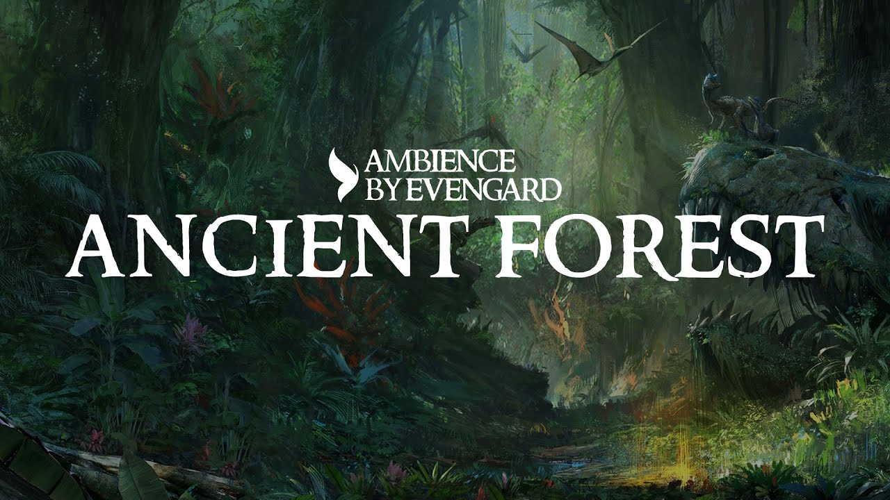 Ancient Forest | Ambience Peaceful and Nature for D&D by Evengard