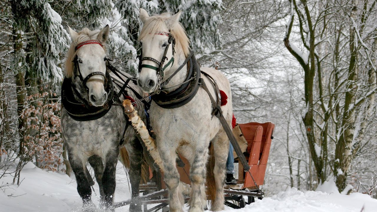 Celtic Christmas Carols, Soft Holiday Christmas Music 