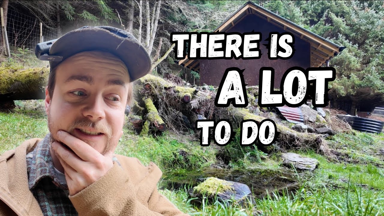 Plans Have Changed! Back to Life Off-Grid