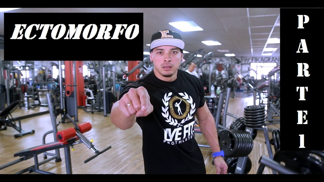Fefrancopro -Treino Ectomorfo 1