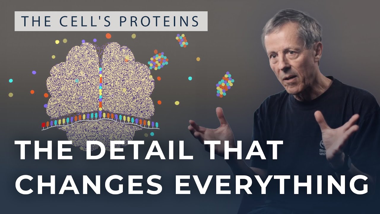 Basic research to stop diseases such as Alzheimer's and ALS