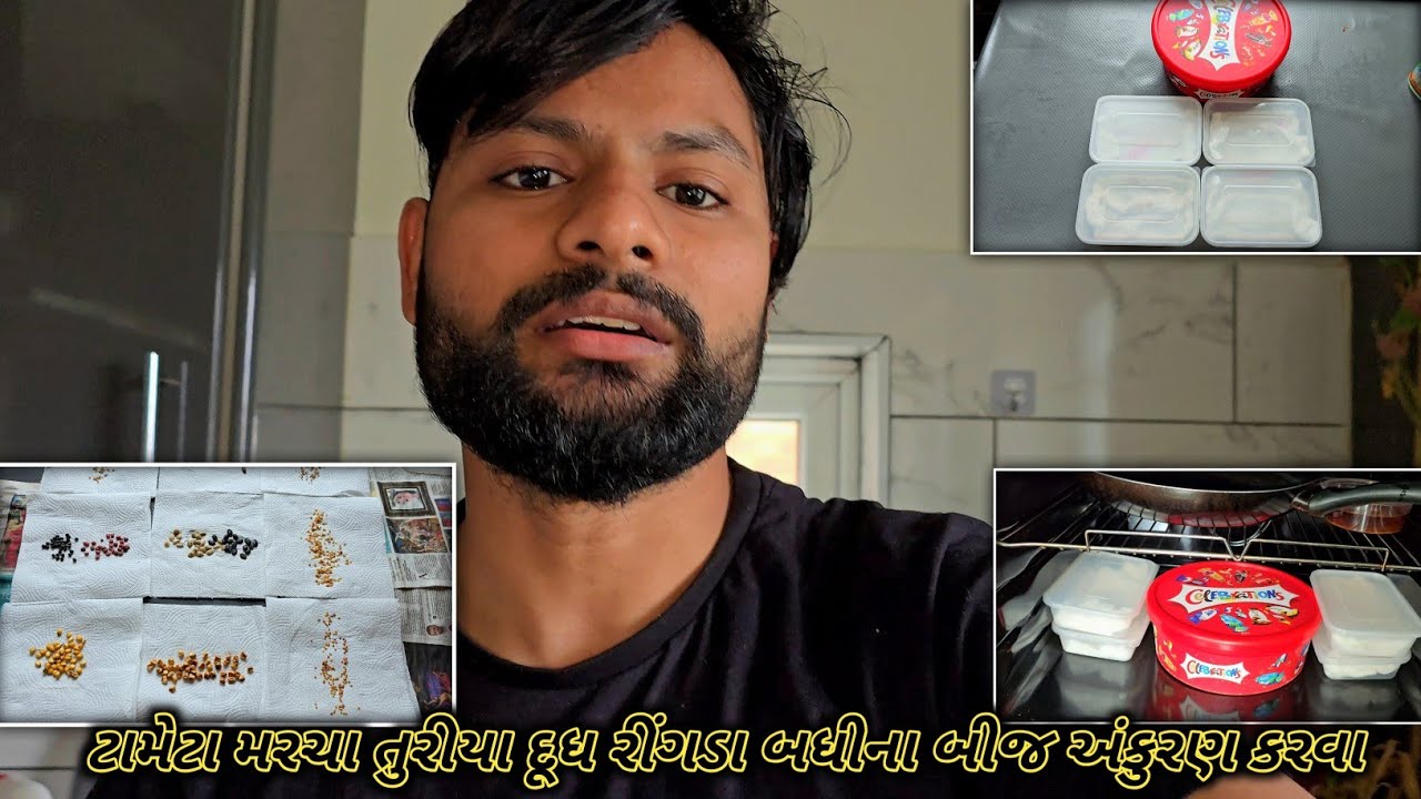 ટામેટા મરચા તુરીયા દૂધ રીંગડા બધીના બીજ અંકુરણ કરવા મુક્યા || #vlogs #dailyvlog #seeds #seedgerminat