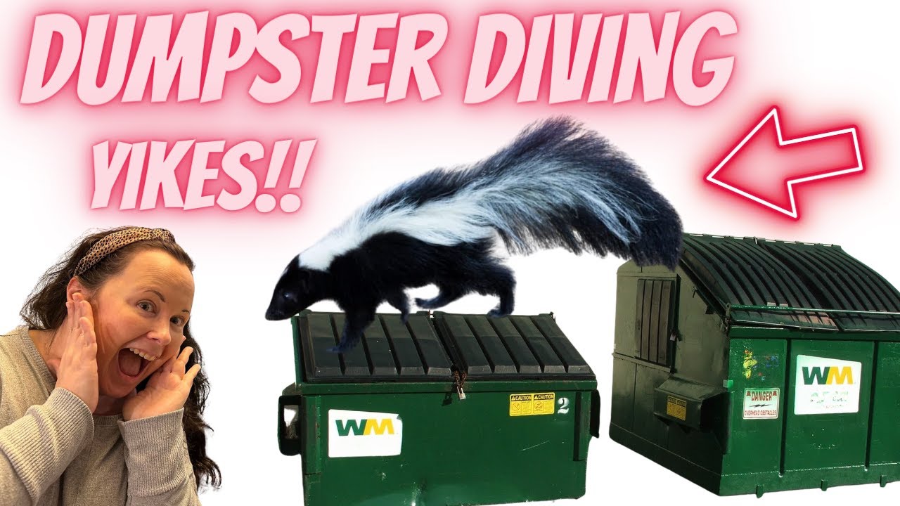 Dumpster Diving Latest 2024 Dollar General and CVS scores evading the animals!