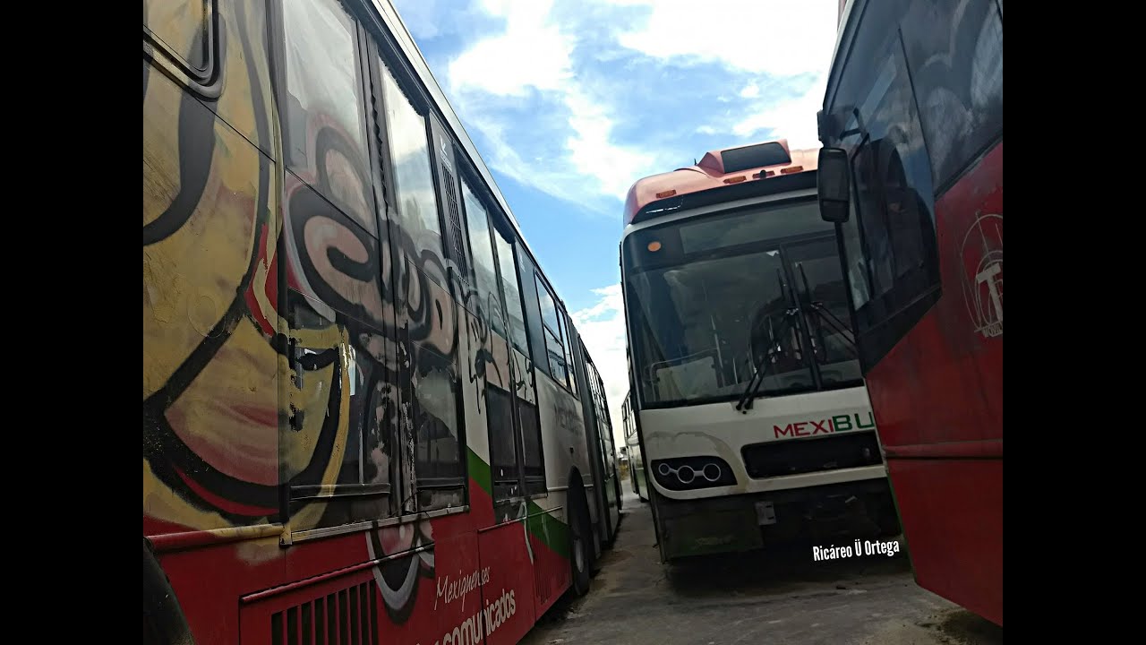 Заброшенные автобусы Mexibus — фотоподборка 10