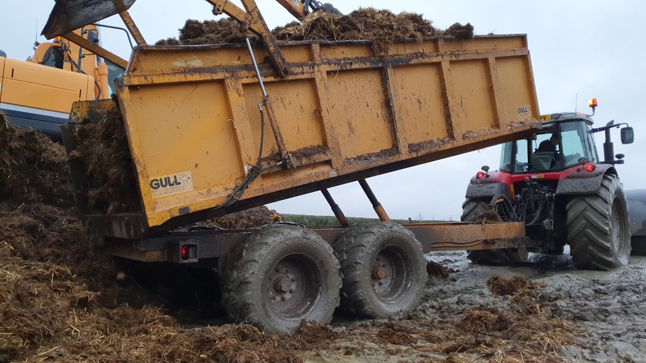 Mucking out