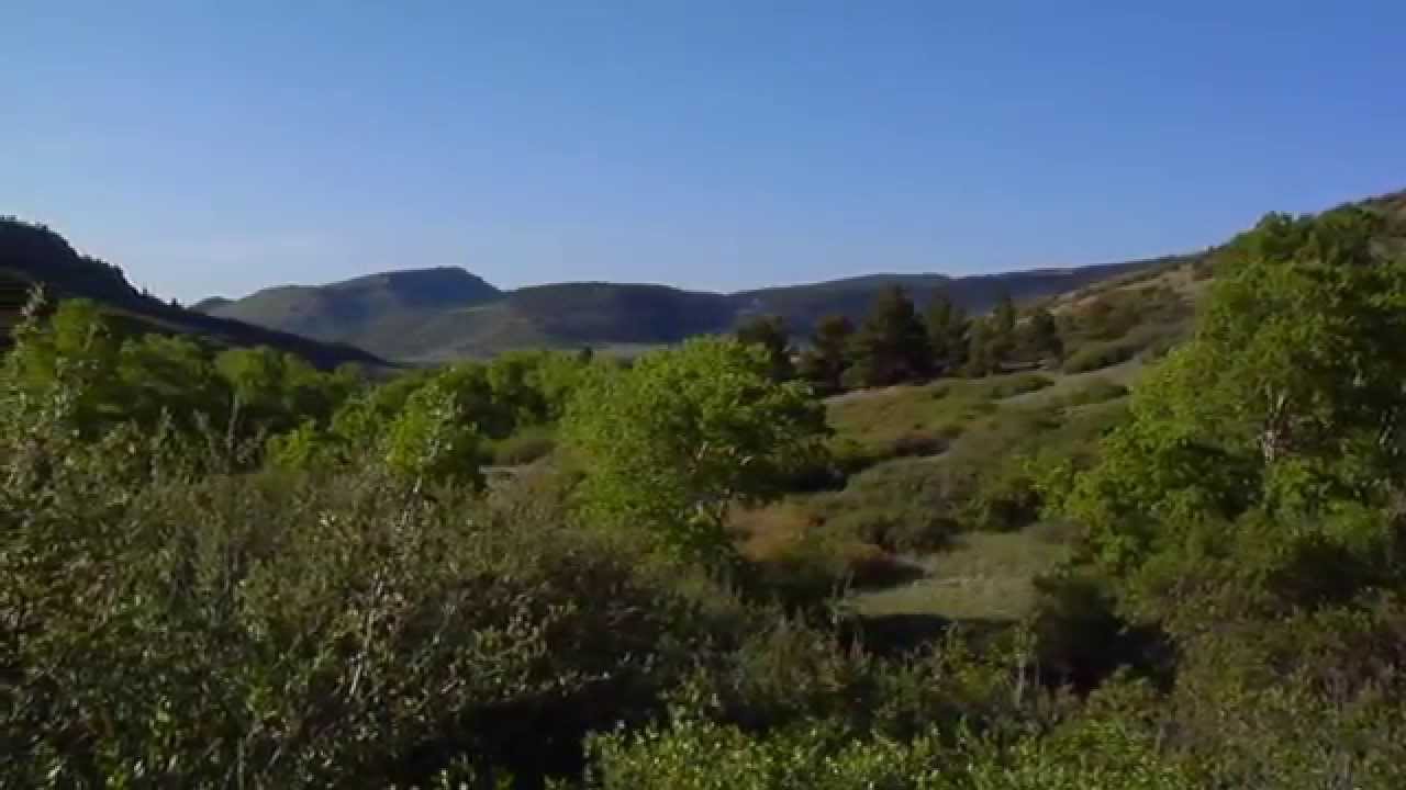 Larimer County Conserved Land