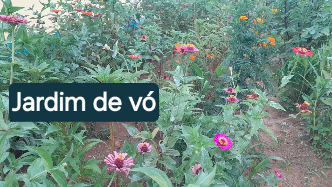 Mostrando nosso jardim 