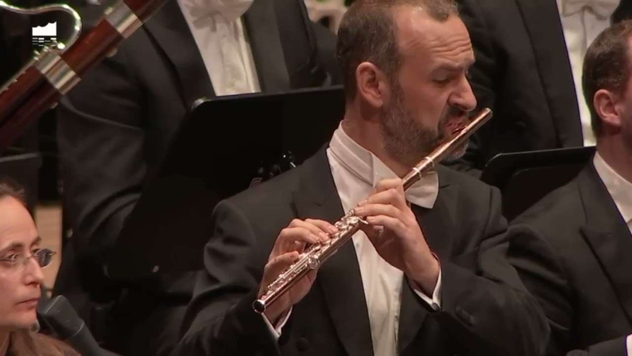 MAHLER - 9th Symphony (1st mov.) - Flute Solo (McCall)