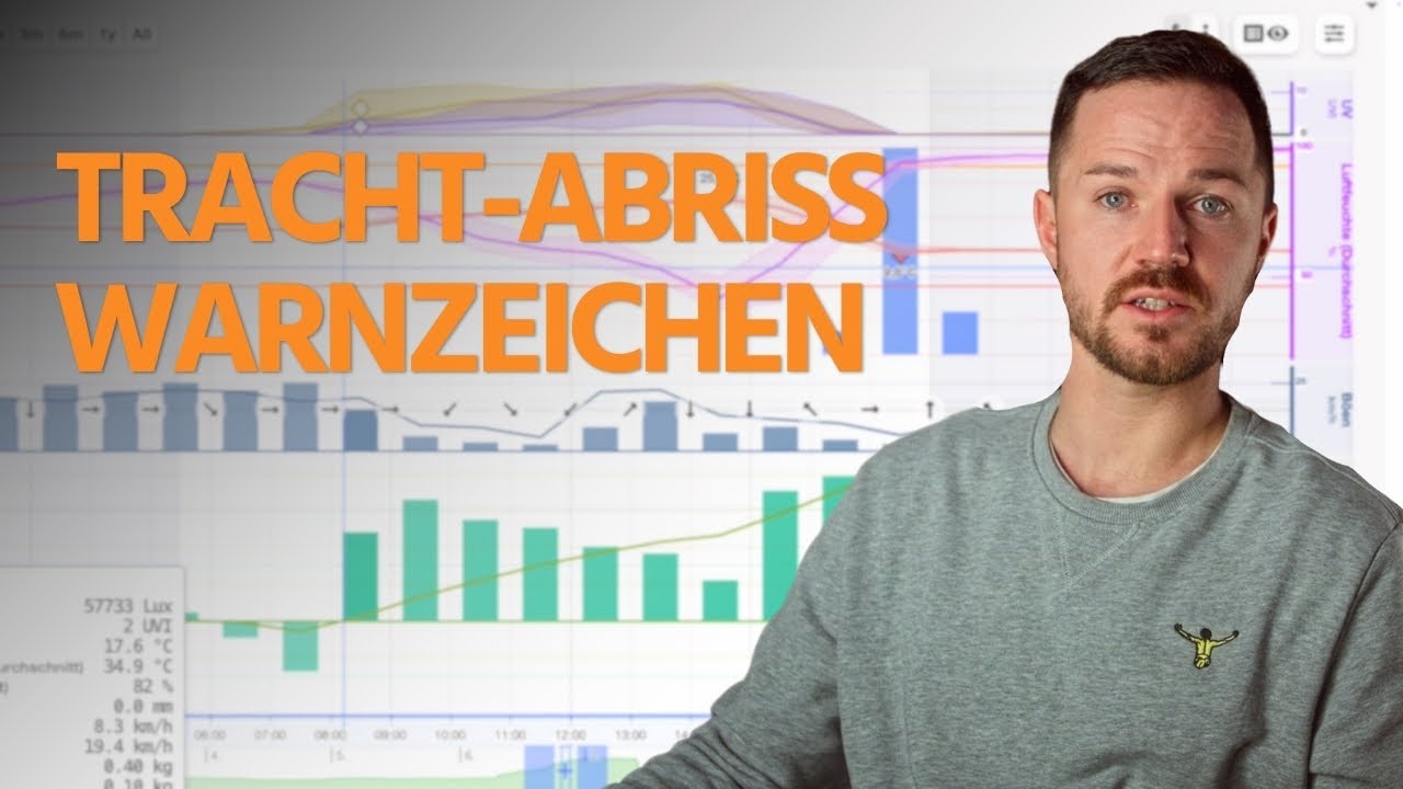 Trachtabriss erkennen &ndash; Daten richtig interpretieren | Wolf Waagen Software