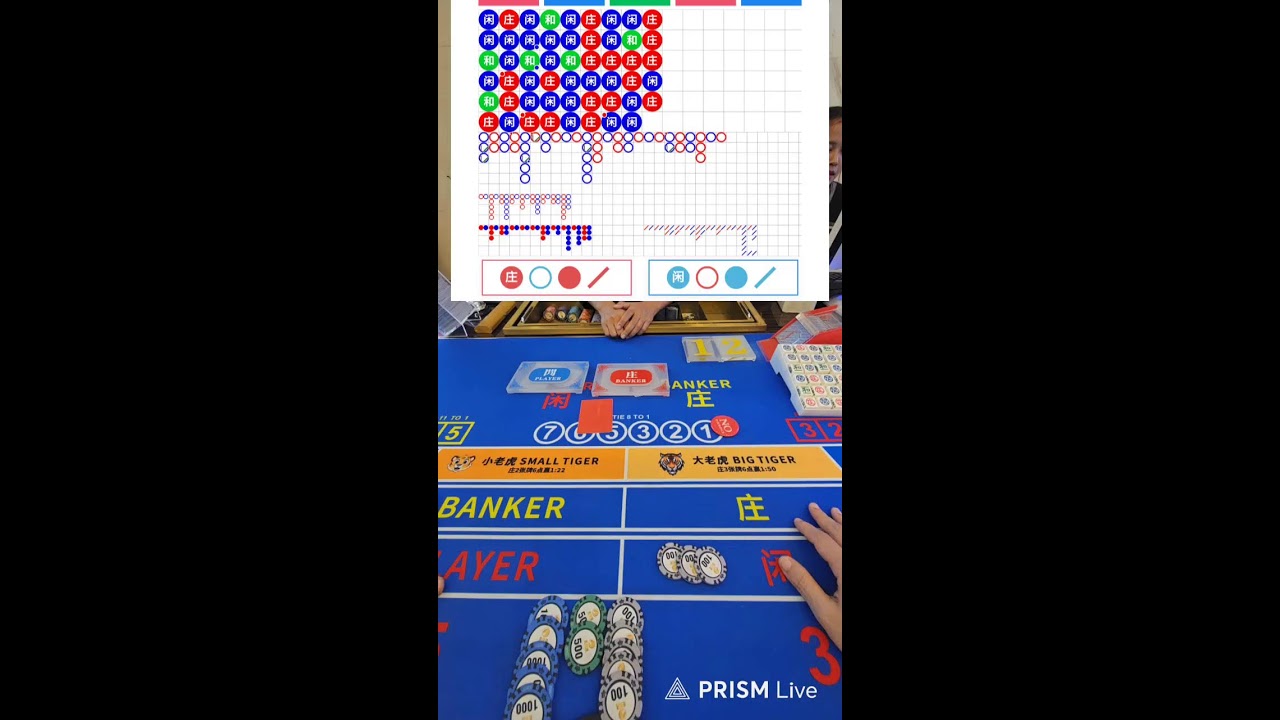 로빈 라이브 방송#로빈#금룡#대리#차무식#카지노#캄보디아여행#캄보디아ktv#마카오