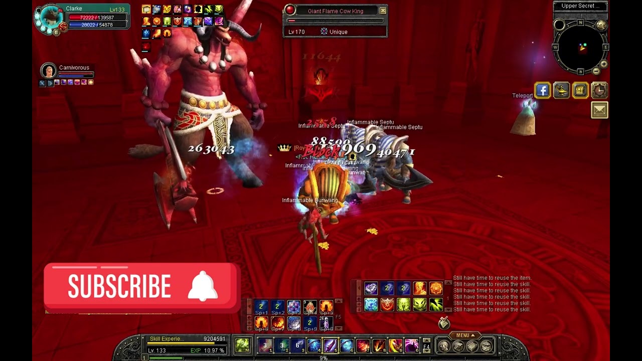 Silkroad online unique Upper