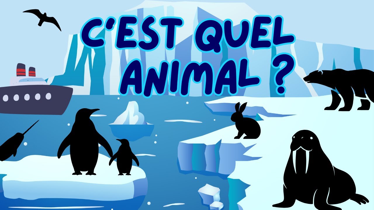 Quiz Animaux Polaires:Devine les animaux de l’Arctique et de l’Antarctique 🐻‍❄️🐺🐇🐧🦭🐋